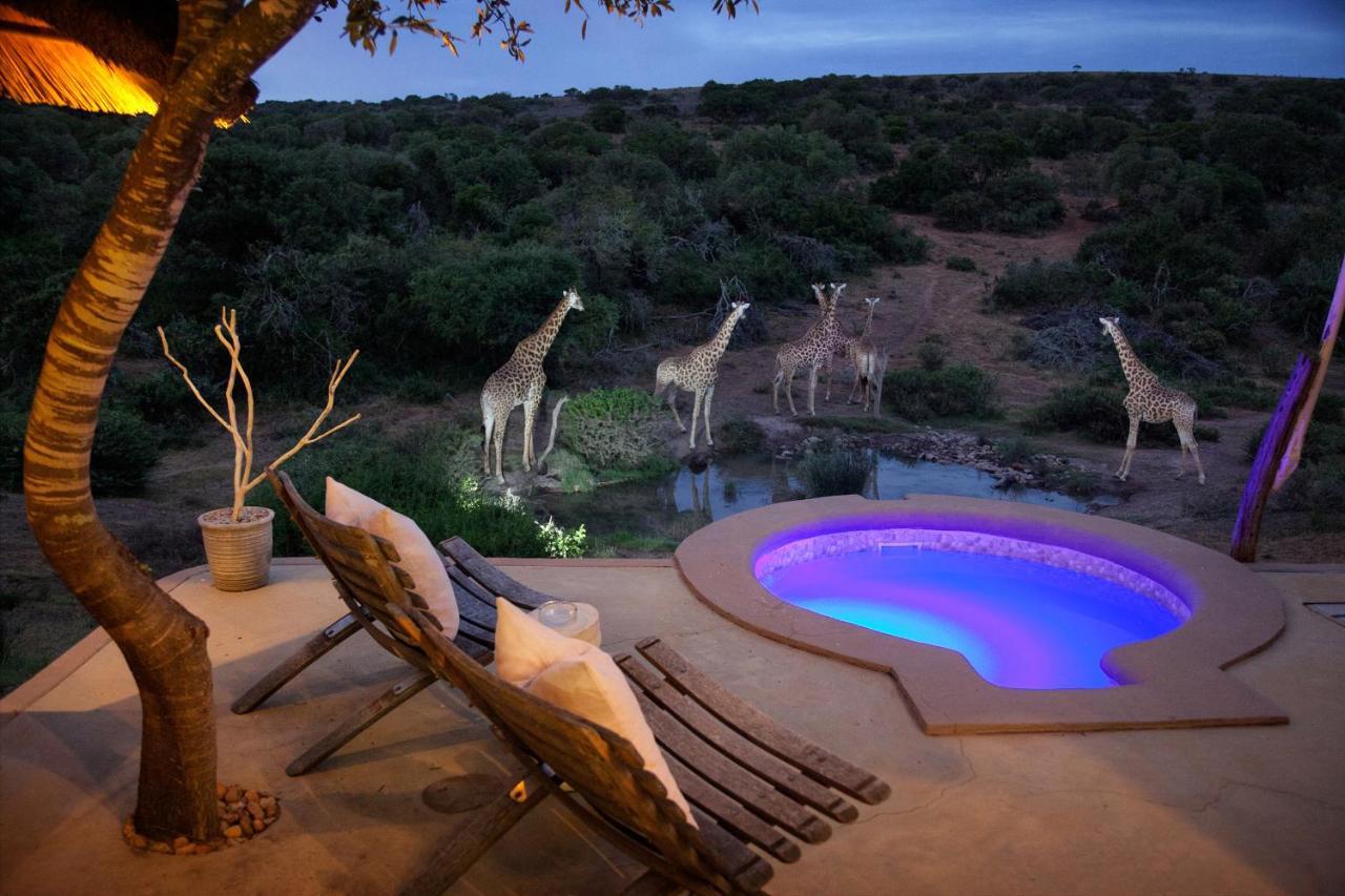 Safari Lodge - Заповедник Амакхала Экстерьер фото
