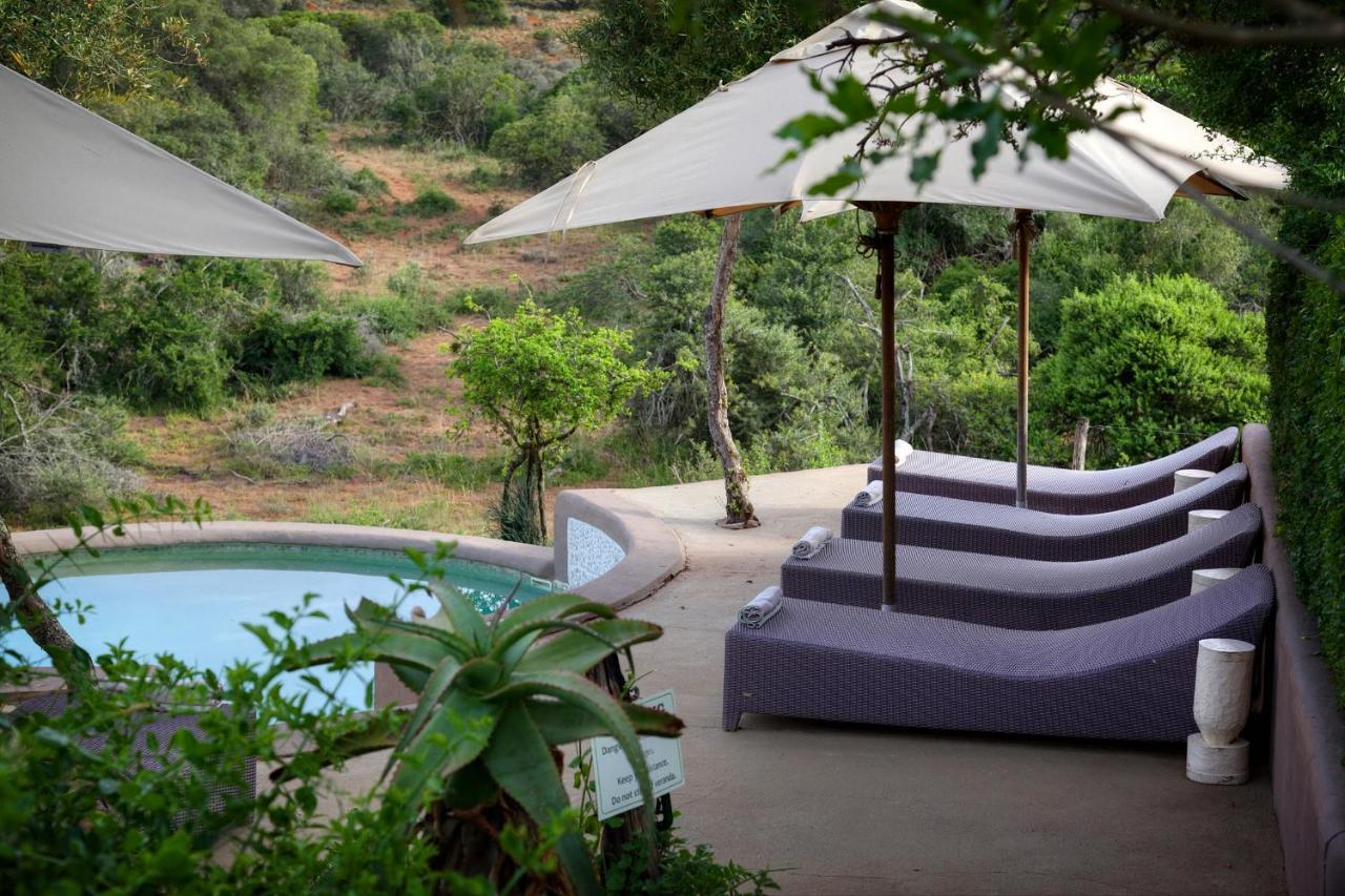 Safari Lodge - Заповедник Амакхала Экстерьер фото
