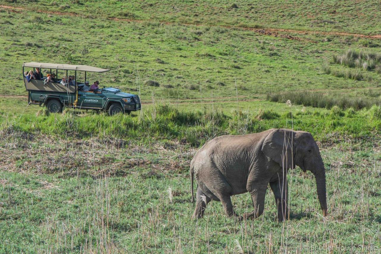 Safari Lodge - Заповедник Амакхала Экстерьер фото