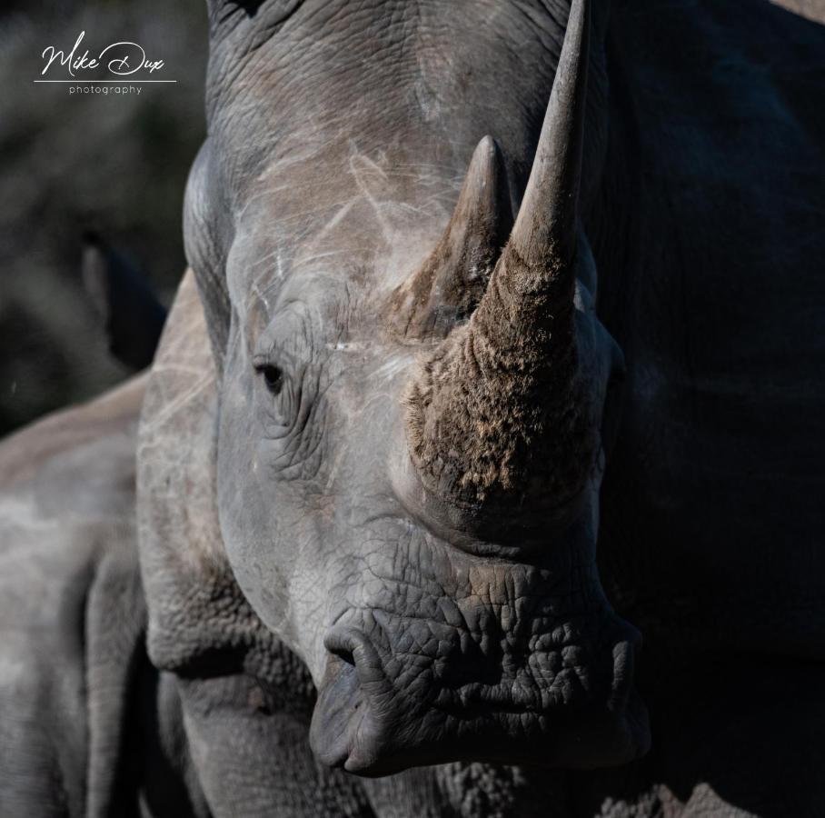 Safari Lodge - Заповедник Амакхала Экстерьер фото