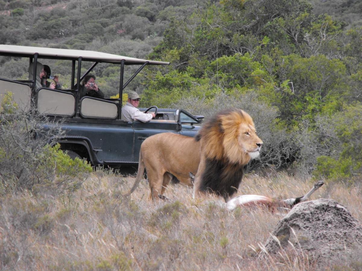 Safari Lodge - Заповедник Амакхала Экстерьер фото