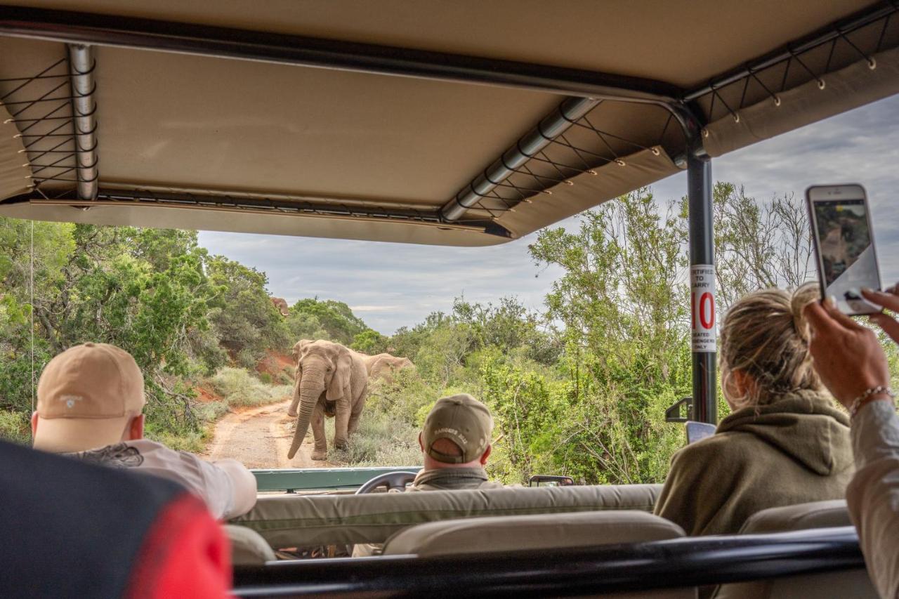 Safari Lodge - Заповедник Амакхала Экстерьер фото